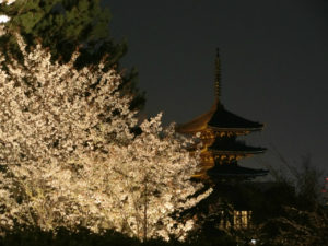 霊山観音の桜と一緒に見える八坂の塔
